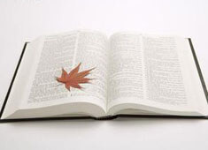 手游魔域SF輔助